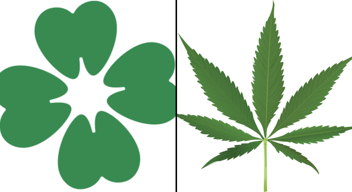 Centerpartiet, Röka, CUF, Kongress, Cannabis, Systembolaget